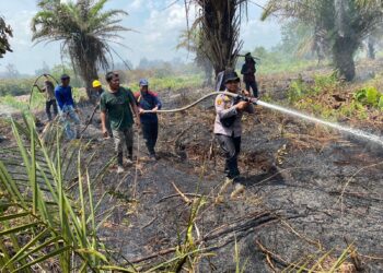 Meski Panas Terik Serta Angin Kencang Tim Gabungan Yetap Lakukan Pendinginan Karhutla di Desa Pulau Muda kecamatan Teluk Meranti