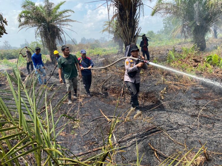 Meski Panas Terik Serta Angin Kencang Tim Gabungan Yetap Lakukan Pendinginan Karhutla di Desa Pulau Muda kecamatan Teluk Meranti