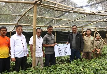 Wabup Tapsel: Berikan Puluhan Ribu Bibit Kopi Pada Masyarakat Desa Aek Sagala