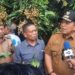 Gubernur Lampung Panen Raya Buah klengkeng Di Lampung Timur