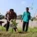 Teluk Erong Dihijaukan, Ini Pesan Kapolres Inhu Saat Tanam Pohon Serentak