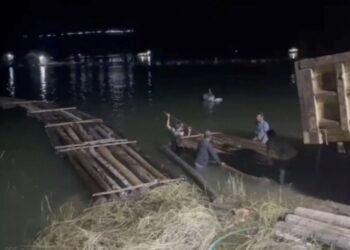 Polisi Tangani 10 Kasus Pembalakan Liar Sepanjang Tahun 2023 di Riau