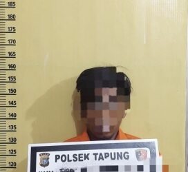 Polsek Tapung Tangkap Pelaku Penganiayaan di Desa Sari Galuh