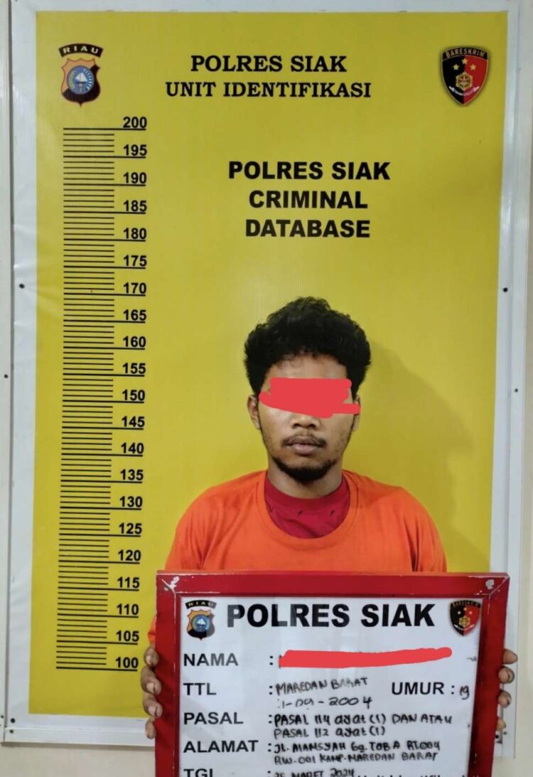 Lagi dan Lagi Tim Opsnal Satres Narkoba Polres Siak Berantas peredaran Barang Haram Ini 