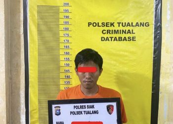 Lakukan Perbuatan Persetubuhan Dengan Anak Dibawah Umur, ADP Als A, Diamankan Unit Reskrim Polsek Tualang