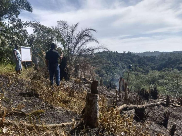 Polres Kuantan Singingi Ungkap Kasus Kebakaran Lahan di Kawasan Hutan Lindung 