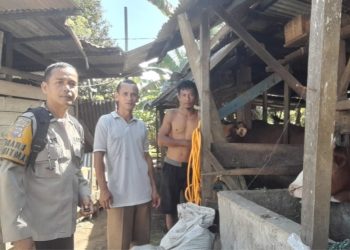 Personel Bhabinkamtibmas Kinali Lakukan Pendampingan Program Ketahanan Pangan di Limau Puruik