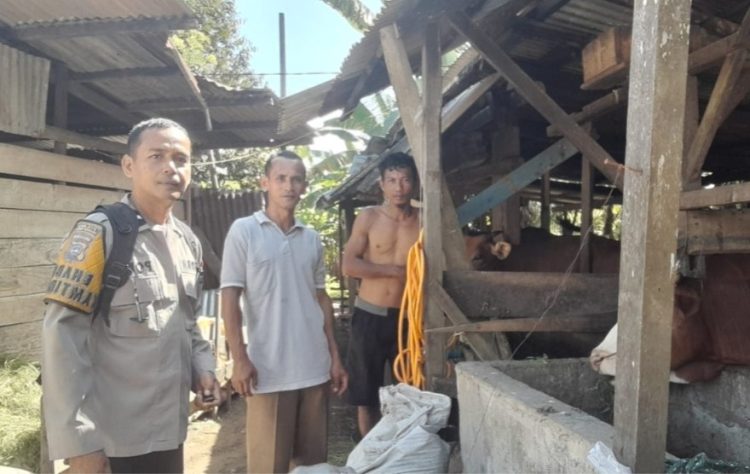 Personel Bhabinkamtibmas Kinali Lakukan Pendampingan Program Ketahanan Pangan di Limau Puruik