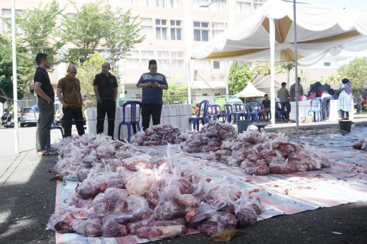 Kejati Sumbar Kurban 8 Ekor Sapi di Hari Idul Adha