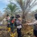 Srikandi Danramil dan Polwan Polres Rohil ikut Memadamkan Api di Rohil