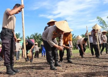 Polres Pasaman Barat Komunikasi dengan Bulog agar Tampung Jagung Petani