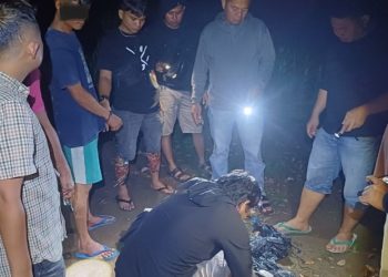 Satuan Resnarkoba Polres Pasaman Barat Ringkus Pengedar Ganja di Nagari Kapar