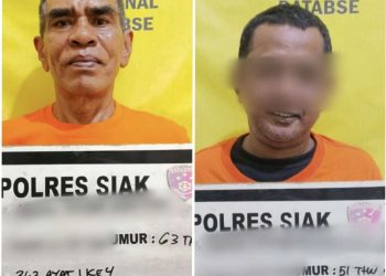 Dua Pelaku Pencurian Tandan Sawit di Kebun PTP IV dibekuk Polisi