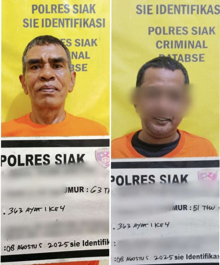 Dua Pelaku Pencurian Tandan Sawit di Kebun PTP IV dibekuk Polisi