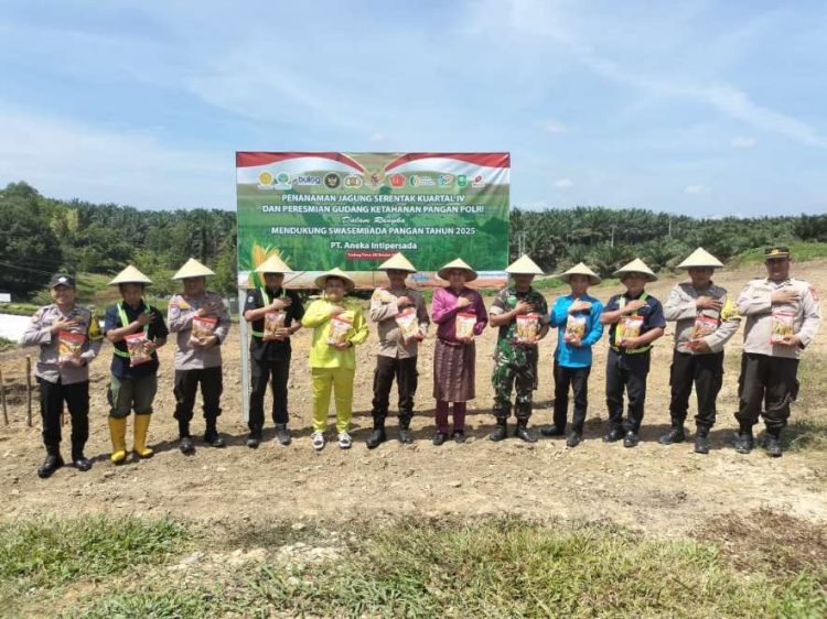 Upika Tualang Gelar Penanaman Jagung Serentak Dukung Program Swasembada Pangan Nasional