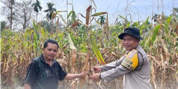 Kapolres Pasaman Barat Dukung Penuh Program Asta Cita dan Ketahanan Pangan Nasional