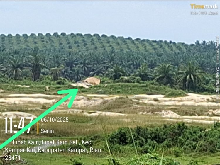 PETI di Napan Kembali Beroperasi Tanpa Tersentuh Hukum, Aph Setempat Jangan Tutup Mata