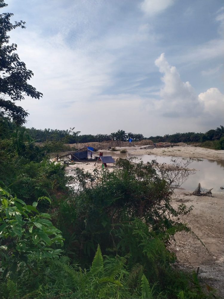 4 Unit Tambang Ilegal Marak Di Aliran Sungai bawang Singingi Hilir Di duga Milik Barus dan Sipayung, 2 Alat Berat Eksapator Stanbay di Lokasi