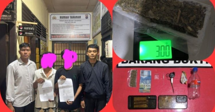 Dua Pemuda Ditangkap Satresnarkoba Polres Solok, Diduga Terlibat Penyalahgunaan Ganja