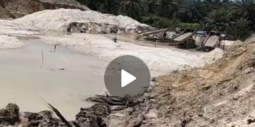 Pak Kapolres Tangkap Sardn Big Boss PETI Diduga Merasa Kebal Hukum