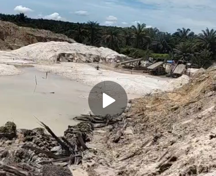 Pak Kapolres Tangkap Sardn Big Boss PETI Diduga Merasa Kebal Hukum