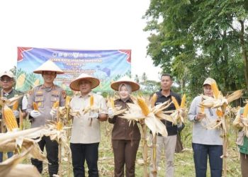 Kapolres Kuansing Apresiasi Kepada Petani atas Keberhasilan Panen Jagung Serentak Kuartal II 2026
