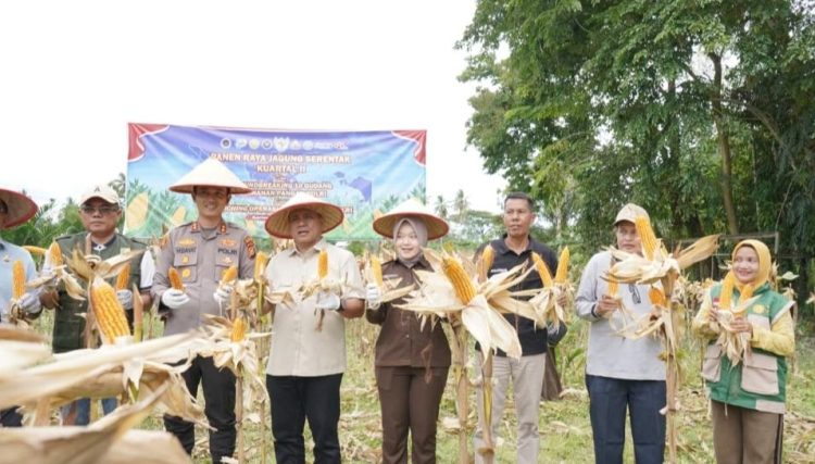 Kapolres Kuansing Apresiasi Kepada Petani atas Keberhasilan Panen Jagung Serentak Kuartal II 2026