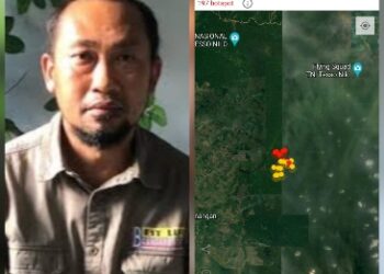 Kawasan TNTN Semakin Berkurang Dan Lahan Terbakar