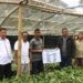 Wabup Tapsel: Berikan Puluhan Ribu Bibit Kopi Pada Masyarakat Desa Aek Sagala
