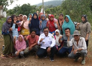 Wabup Tapsel: Dukung Pencapaian Prioritas Pembangunan Serahkan Ribuan Bibit Kopi Pada Poktan Aek Latong Desa Marsada