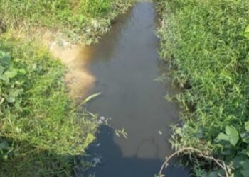 Sungai Tanglo Diduga Tercemar Limbah PT Sari Lembah Subur