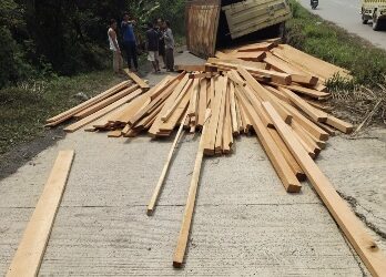 Truck Bermuatan Kayu Ilegal Tanpa Dokumen Diamankan Pihak Polsek Tungkal Ulu Ini kronologi nya