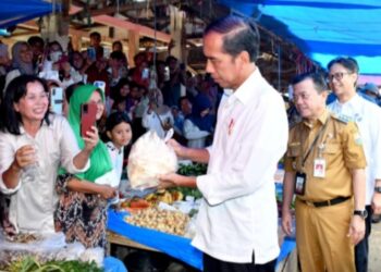 Pedagang Masyarakat Pasar Tanjung Bungur Kabupaten Tebo, Antusias Sambut Temui Kedatangan Jokowi Pastikan Cek Tinjau Harga Pasar