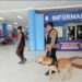 Ops Ketupat Lk 2024, Subsatgas Satwa Sterilisasi Area Pelabuhan Sungai Duku di Dukung Satwa K9