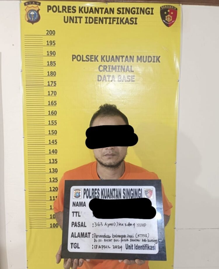 Polsek Kuantan Mudik Berhasil Mengungkap Kasus Dugaan Pencurian Buah Kelapa Sawit