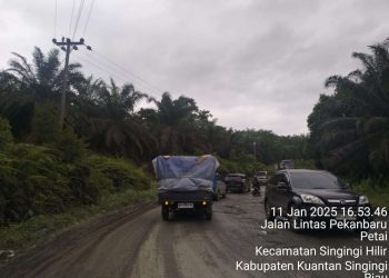 Koordinator DPP TOPAN RI Prov Riau Kecewa Kinerja Kepala BPJN Riau, Dr. Ir. Yohanis Tulak Todingrara,M.T tidak becus