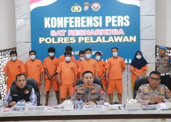 27 Tersangka Jaringan Pengedar Ganja Diamankan Satnarkoba Polres Pelalawan Dalam 1 Bulan