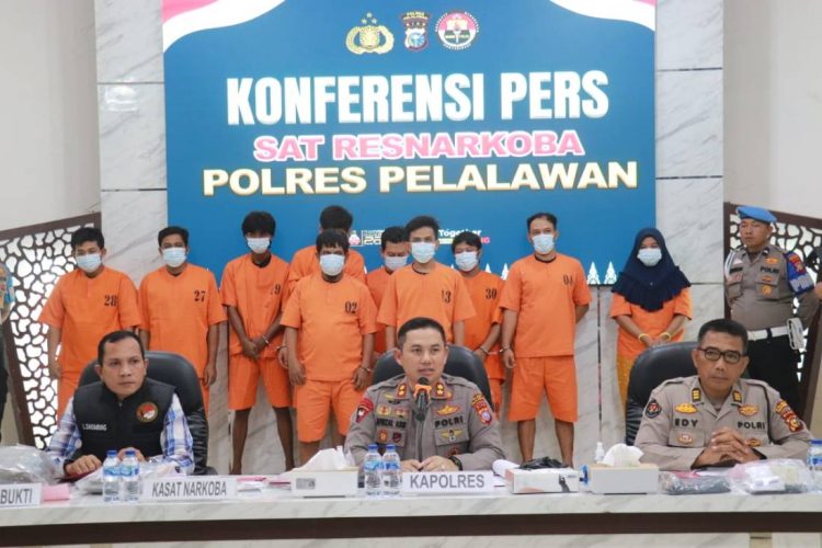 27 Tersangka Jaringan Pengedar Ganja Diamankan Satnarkoba Polres Pelalawan Dalam 1 Bulan