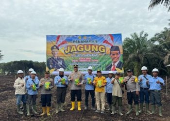 Kapolsek Pujud Dukung Program Asta Cita Presiden,Penanaman Jagung Seluas Satu Hekta