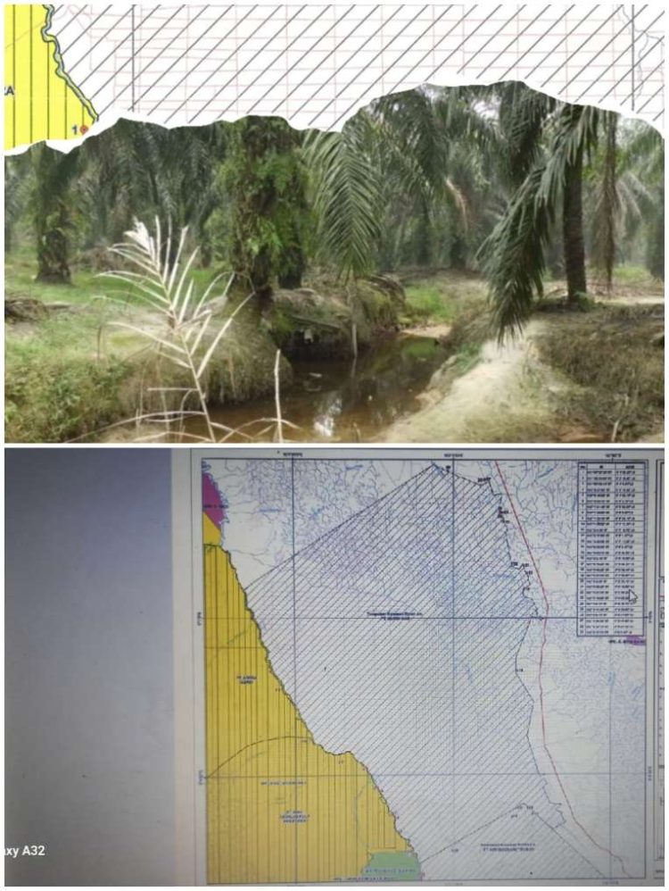 Skandal Besar! PT Musim Mas Diduga Langgar HGU dan Tanam Sawit di Kawasan Terlarang, LSM Bara Api Tantang Tunjukkan Bukti atau Akui Kesalahan!