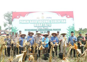 Kapolres Inhu Panen Raya Jagung Serentak Kuartal II 