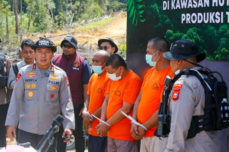 Tindak Tegas Perusakan Hutan Polda Riau Tegaskan Komitmen Green Policing