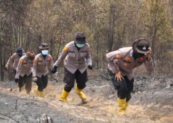 Polwan Polres Rokan Hulu Bersama Tim Beraksi Heroik Padamkan Karhutla di Sialang Jaya