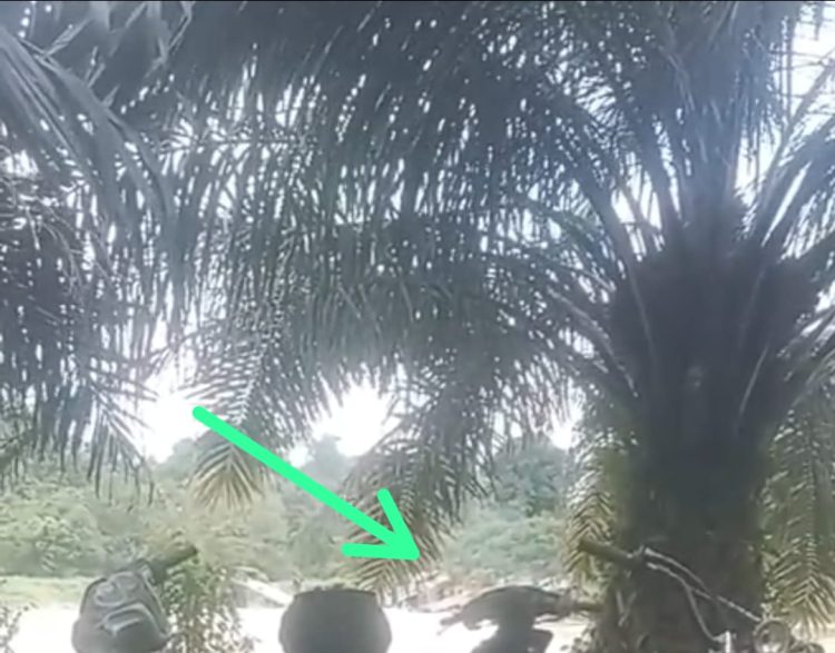 Diduga PETI Tim YT DY dan IW Pora-Porandakan Desa Suka Maju, APH Setempat Jangan Tutup Mata