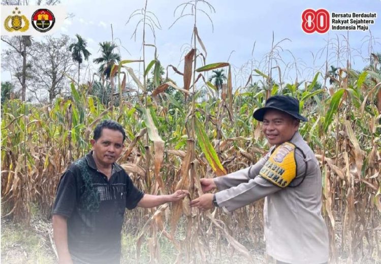 Kapolres Pasaman Barat Dukung Penuh Program Asta Cita dan Ketahanan Pangan Nasional