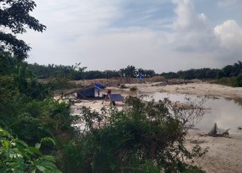 4 Unit Tambang Ilegal Marak Di Aliran Sungai bawang Singingi Hilir Di duga Milik Barus dan Sipayung, 2 Alat Berat Eksapator Stanbay di Lokasi