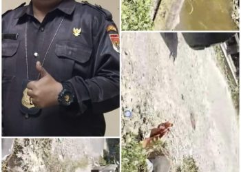Koordinator DPP TOPAN RI Riau kawal Kinerja Dinas PUPR Rohul ,Jembatan Roboh kemana Anggaranya