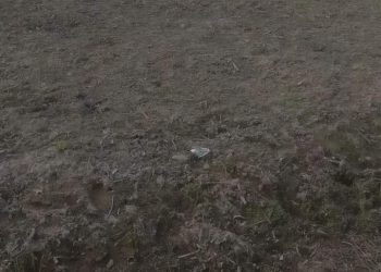 Petani di Kecamatan Rantau Bayur, Banyuasin Keluhkan Tidak Ada Persediaan Bibit dan Sarana Pertanian