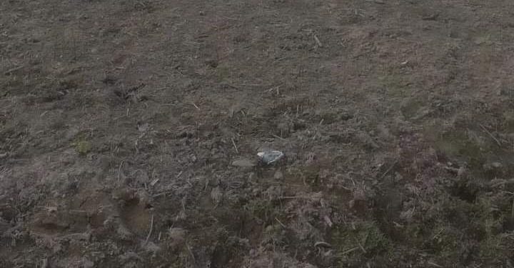 Petani di Kecamatan Rantau Bayur, Banyuasin Keluhkan Tidak Ada Persediaan Bibit dan Sarana Pertanian