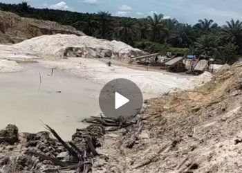 Pak Kapolres Tangkap Sardn Big Boss PETI Diduga Merasa Kebal Hukum